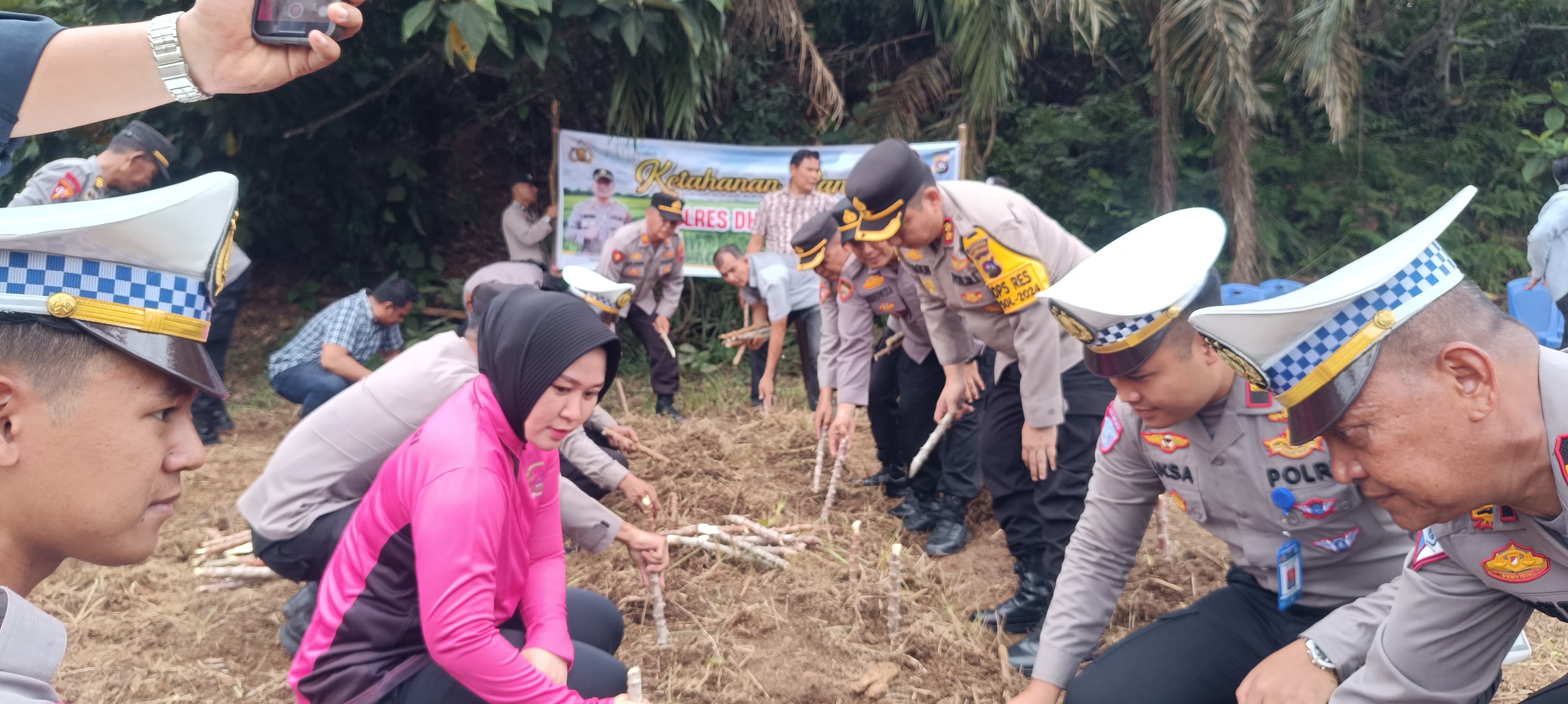 Polres Dharmasraya Mendukung Ketahanan Pangan Lepas Bibit Ikan dan Tanam Singkong