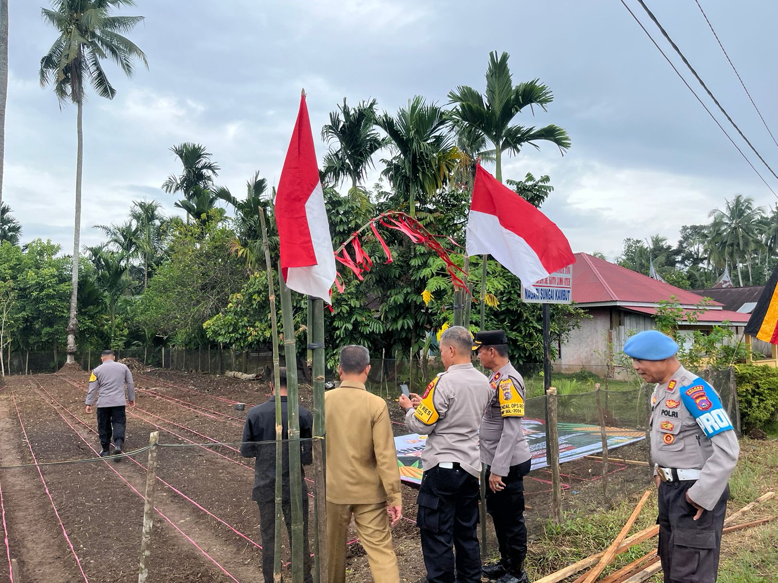 Wakapolres Dharmasraya Tinjau Lokasi pemantapan  Penanaman Jagung Serentak 1 Juta Hektar
