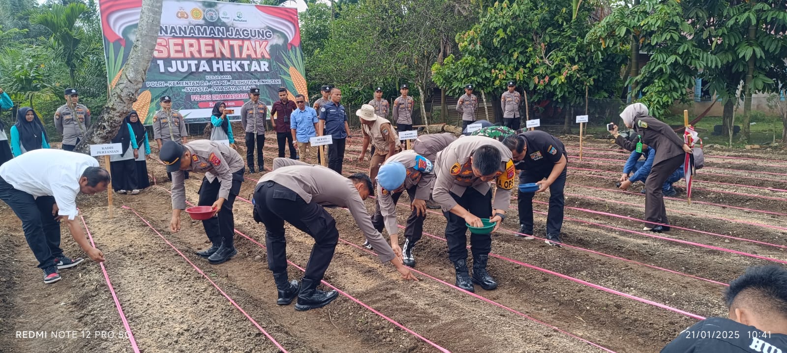 Kapolres Dharmasraya Bersama Forkopimda Tanam Jagung Serentak 1 Juta Hektar di Seluruh Indonesia